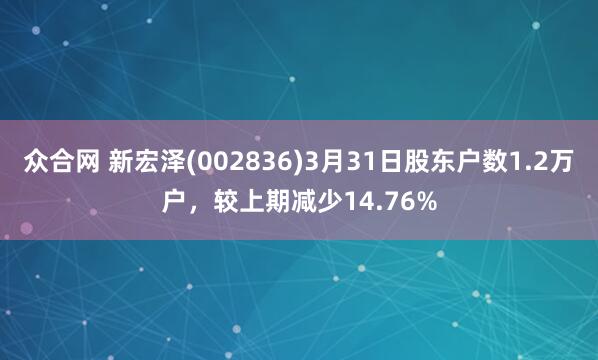 众合网 新宏泽(002836)3月31日股东户数1.2万户，较上期减少14.76%
