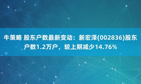 牛策略 股东户数最新变动：新宏泽(002836)股东户数1.2万户，较上期减少14.76%