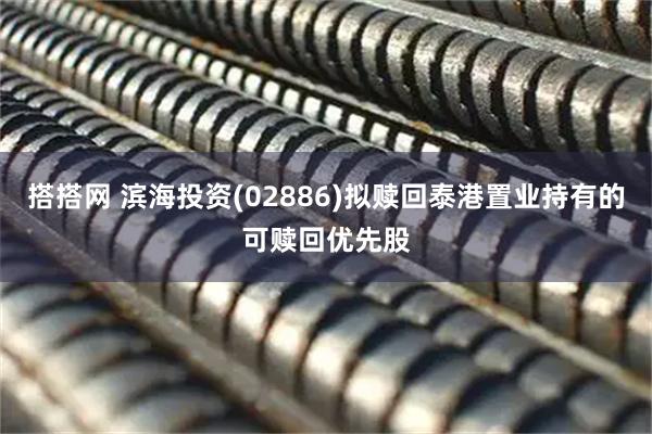 搭搭网 滨海投资(02886)拟赎回泰港置业持有的可赎回优先股