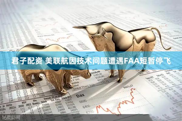 君子配资 美联航因技术问题遭遇FAA短暂停飞