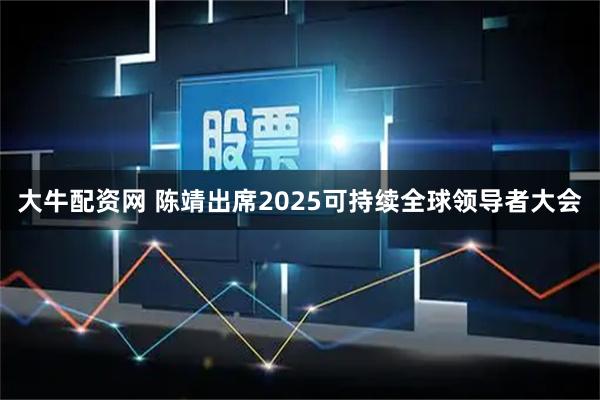 大牛配资网 陈靖出席2025可持续全球领导者大会