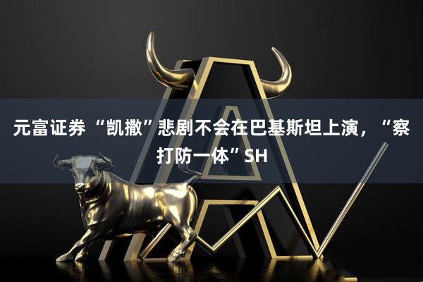 元富证券 “凯撒”悲剧不会在巴基斯坦上演，“察打防一体”SH