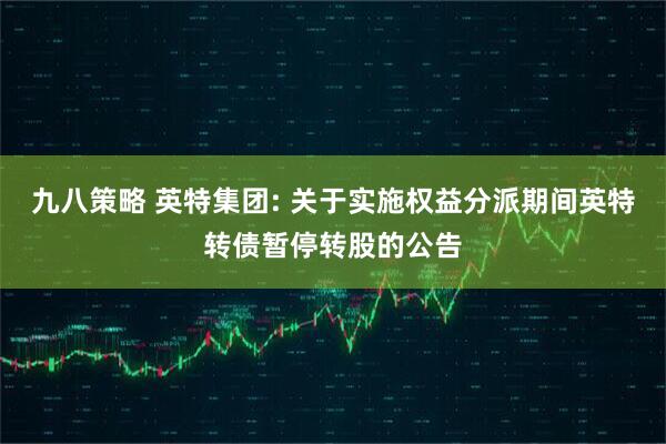 九八策略 英特集团: 关于实施权益分派期间英特转债暂停转股的公告