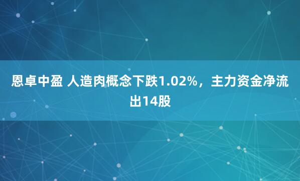 恩卓中盈 人造肉概念下跌1.02%，主力资金净流出14股