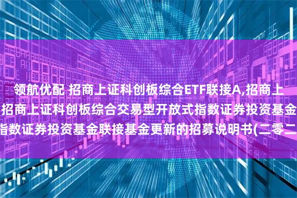 领航优配 招商上证科创板综合ETF联接A,招商上证科创板综合ETF联接C: 招商上证科创板综合交易型开放式指数证券投资基金联接基金更新的招募说明书(二零二五年第二号)