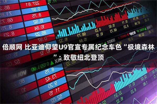 倍顺网 比亚迪仰望U9官宣专属纪念车色“极境森林”: 致敬纽北登顶