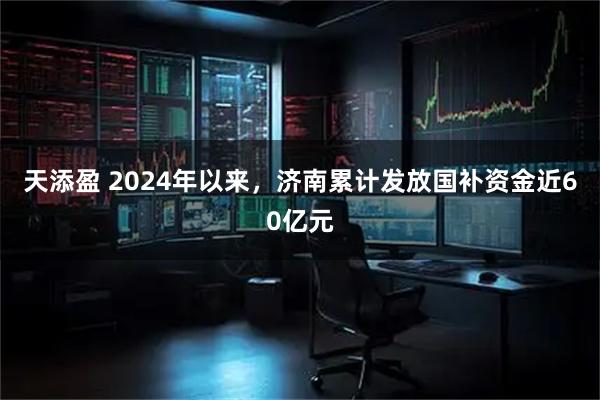 天添盈 2024年以来，济南累计发放国补资金近60亿元