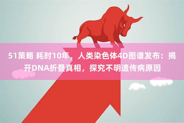 51策略 耗时10年，人类染色体4D图谱发布：揭开DNA折叠真相，探究不明遗传病原因