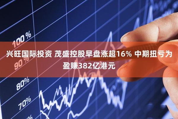 兴旺国际投资 茂盛控股早盘涨超16% 中期扭亏为盈赚382亿港元