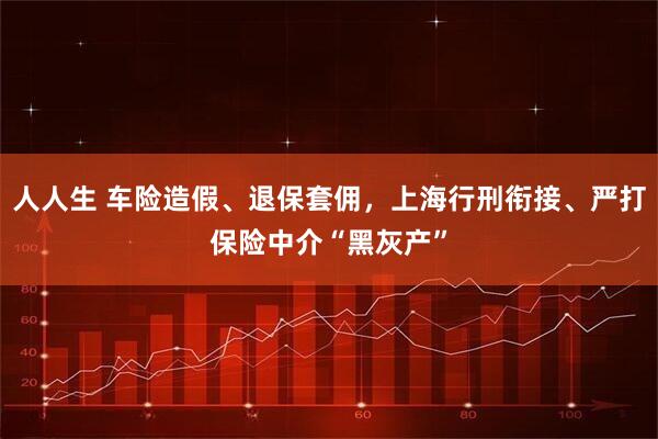 人人生 车险造假、退保套佣，上海行刑衔接、严打保险中介“黑灰产”