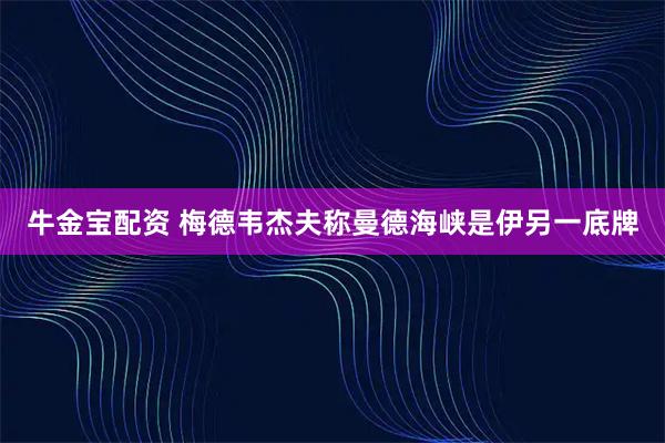 牛金宝配资 梅德韦杰夫称曼德海峡是伊另一底牌
